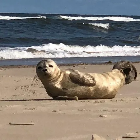 Meerzeit Apartmán Norderney