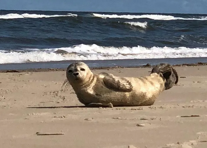 Meerzeit Apartmán Norderney